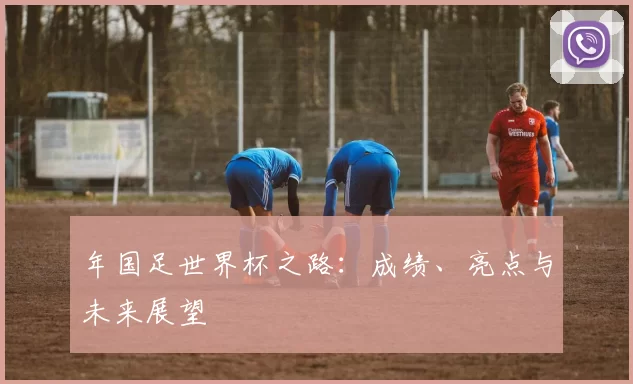 年国足世界杯之路:成绩、亮点与未来展望