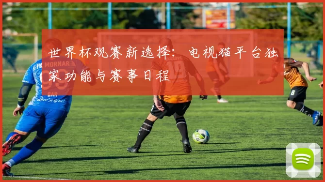 世界杯观赛新选择：电视猫平台独家功能与赛事日程