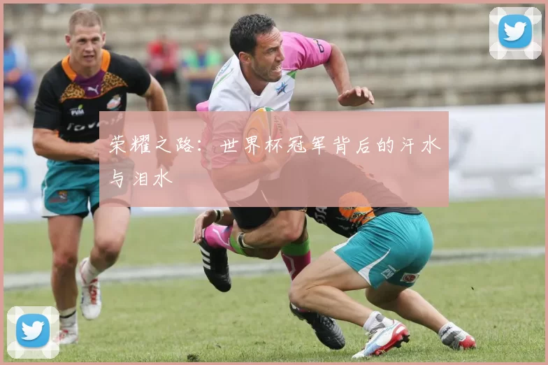 荣耀之路：世界杯冠军背后的汗水与泪水