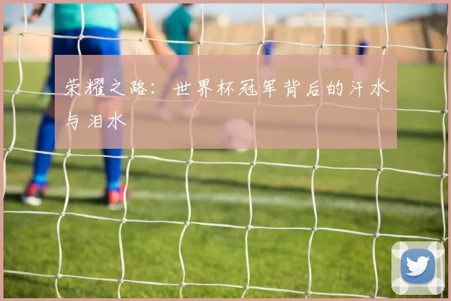 荣耀之路：世界杯冠军背后的汗水与泪水