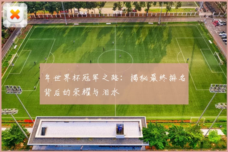 年世界杯冠军之路：揭秘最终排名背后的荣耀与泪水