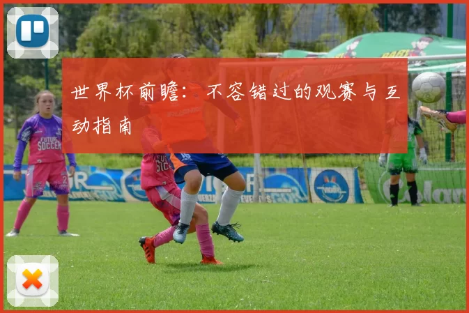 世界杯前瞻：不容错过的观赛与互动指南