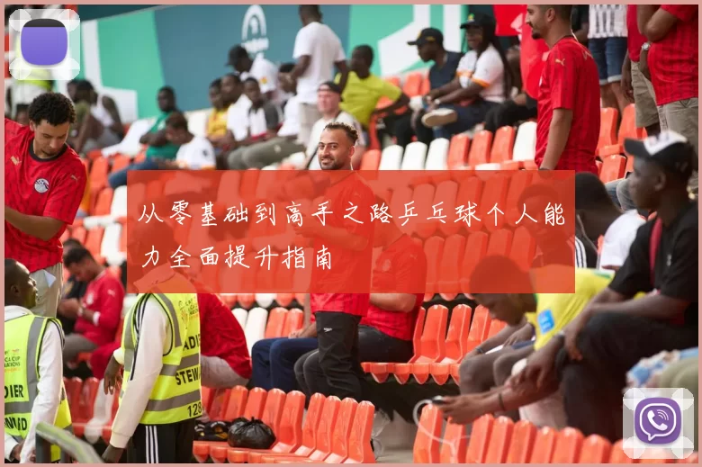 从零基础到高手之路乒乓球个人能力全面提升指南