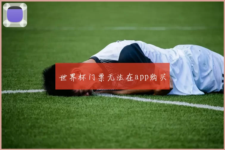 世界杯门票无法在app购买