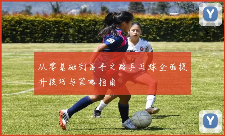 从零基础到高手之路乒乓球全面提升技巧与策略指南