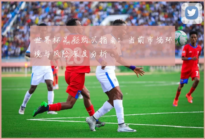 世界杯足彩购买指南:当前市场环境与风险深度分析