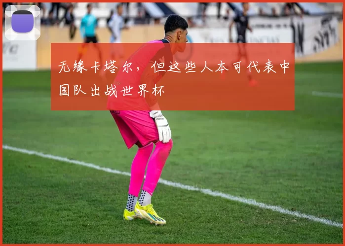 无缘卡塔尔,但这些人本可代表中国队出战世界杯