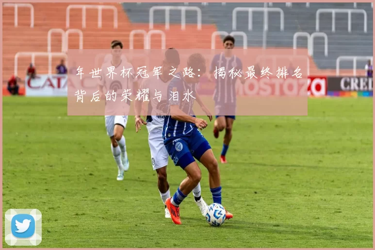 年世界杯冠军之路：揭秘最终排名背后的荣耀与泪水