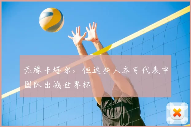 无缘卡塔尔,但这些人本可代表中国队出战世界杯