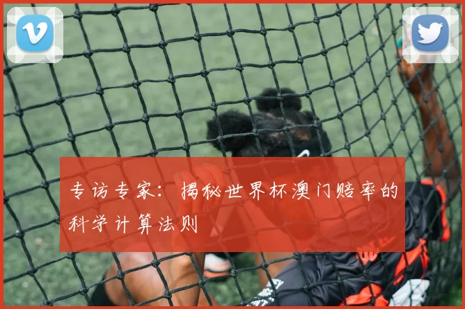 专访专家：揭秘世界杯澳门赔率的科学计算法则